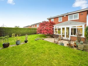 Photo 10- click for photo gallery